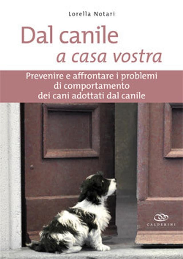 Dal canile a casa vostra