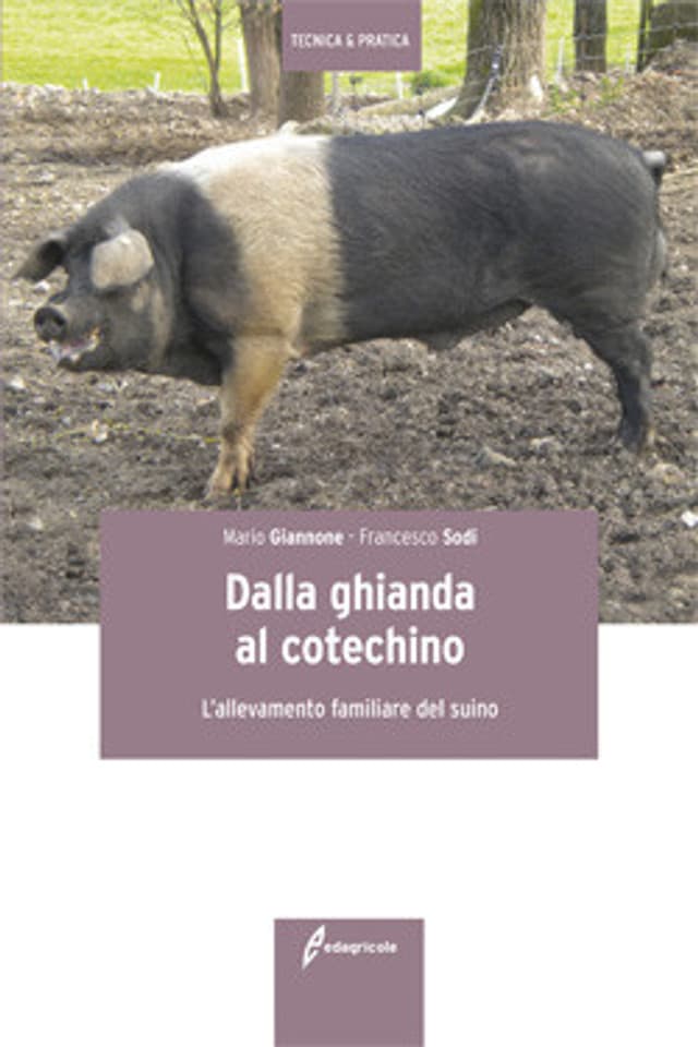 Dalla ghianda al cotechino