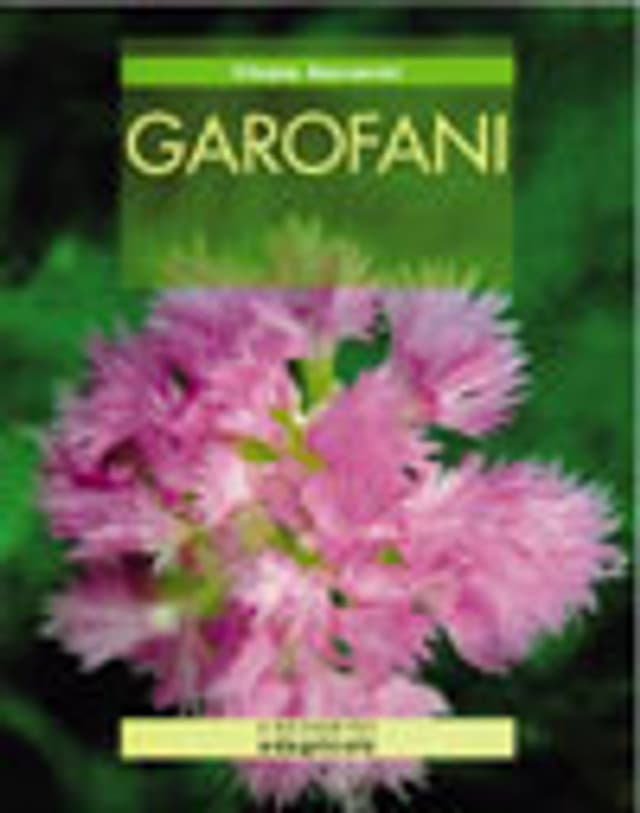 Garofani