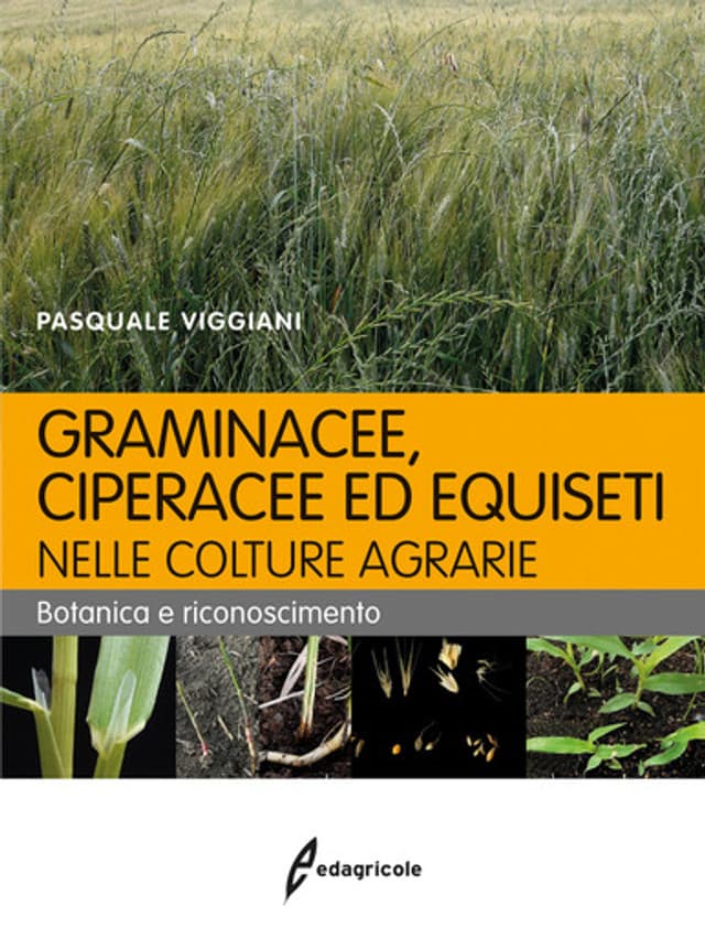 Graminacee, ciperacee ed equiseti nelle colture agrarie