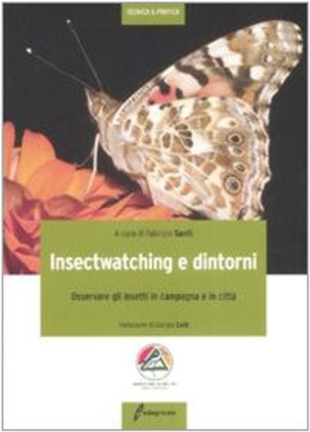 Insectwatching e dintorni