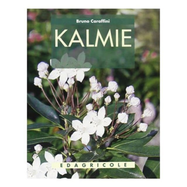 Kalmie