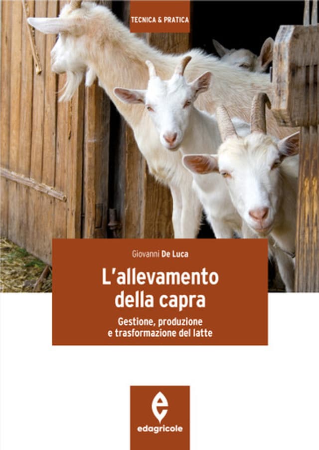 L'allevamento della capra