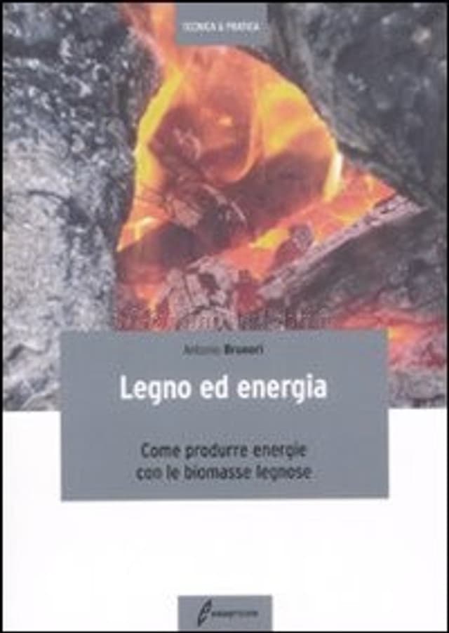 Legno ed energia