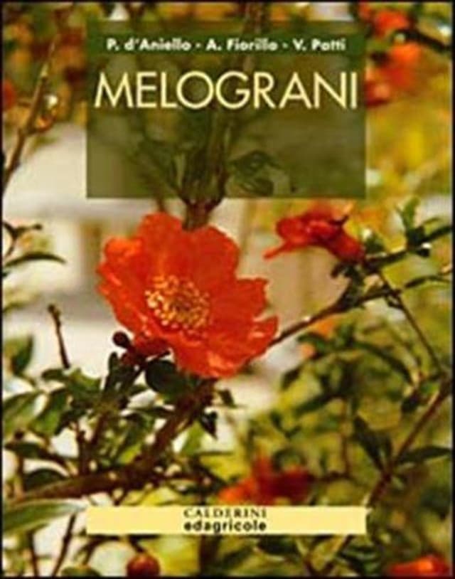 Melograni