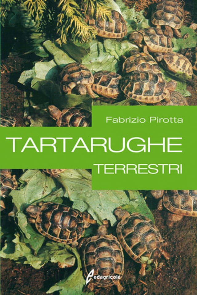 Tartarughe terrestri