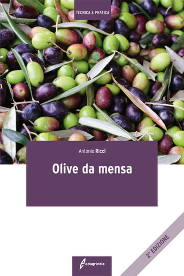 Olive da mensa
