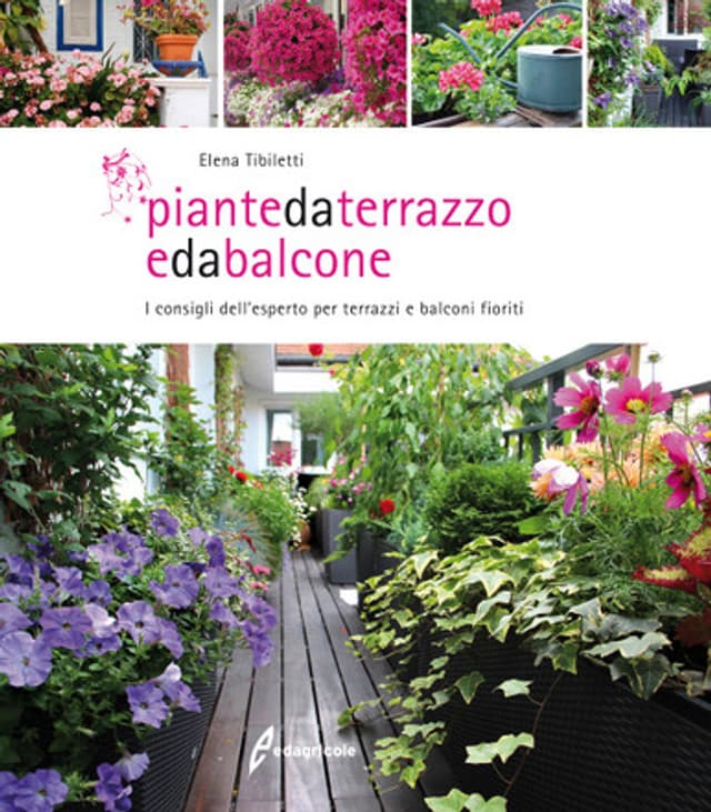 Piante da terrazzo e da balcone