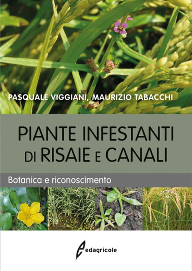 Piante infestanti di risaie e canali