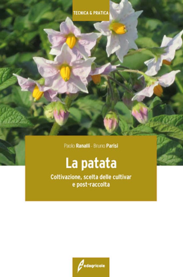 La patata