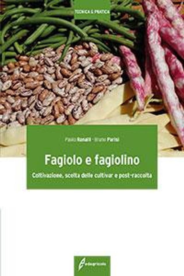 Fagiolo e fagiolino