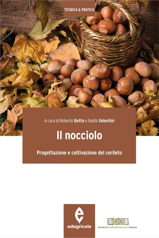 Il nocciolo
