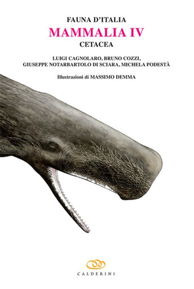 Fauna d'Italia Vol. XLIX - Mammalia IV - Cetacea
