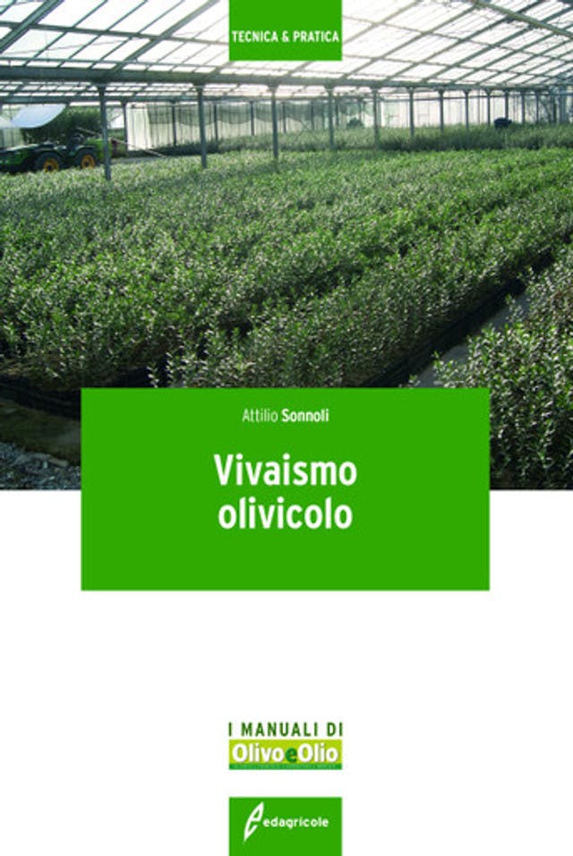 Vivaismo olivicolo
