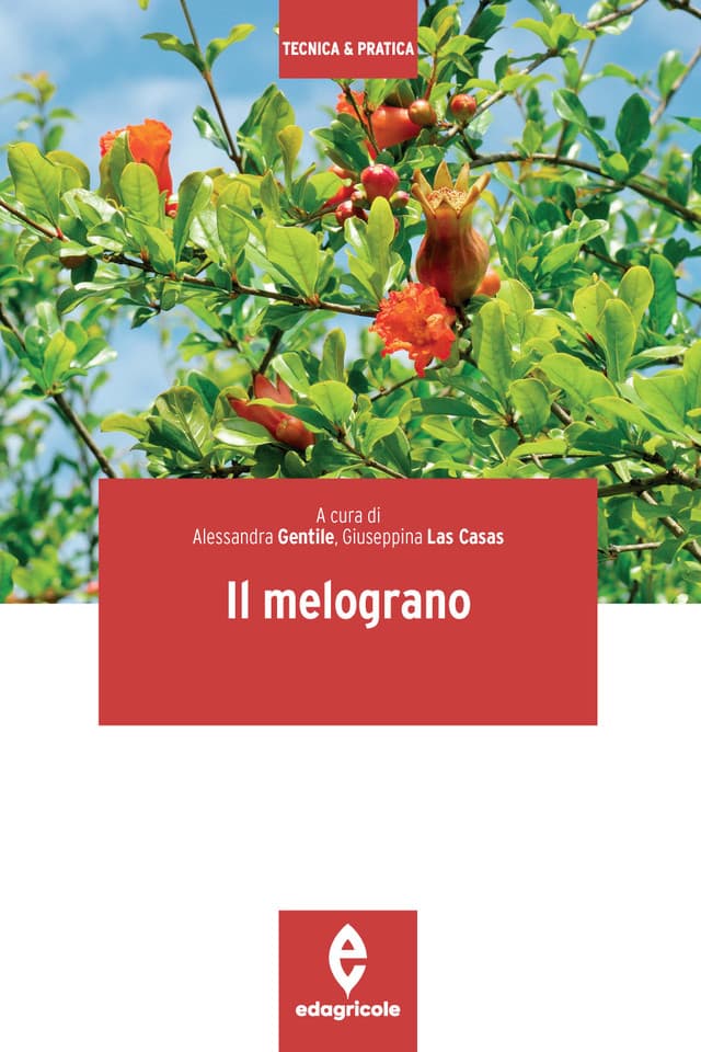 Il melograno