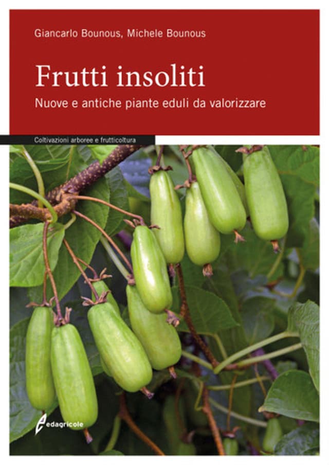 Frutti insoliti