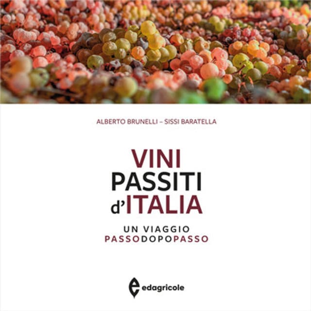 Vini passiti d'Italia