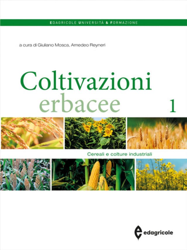Coltivazioni erbacee 1
