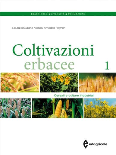 Coltivazioni erbacee 1