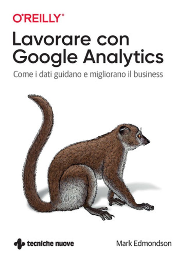 Lavorare con Google Analytics