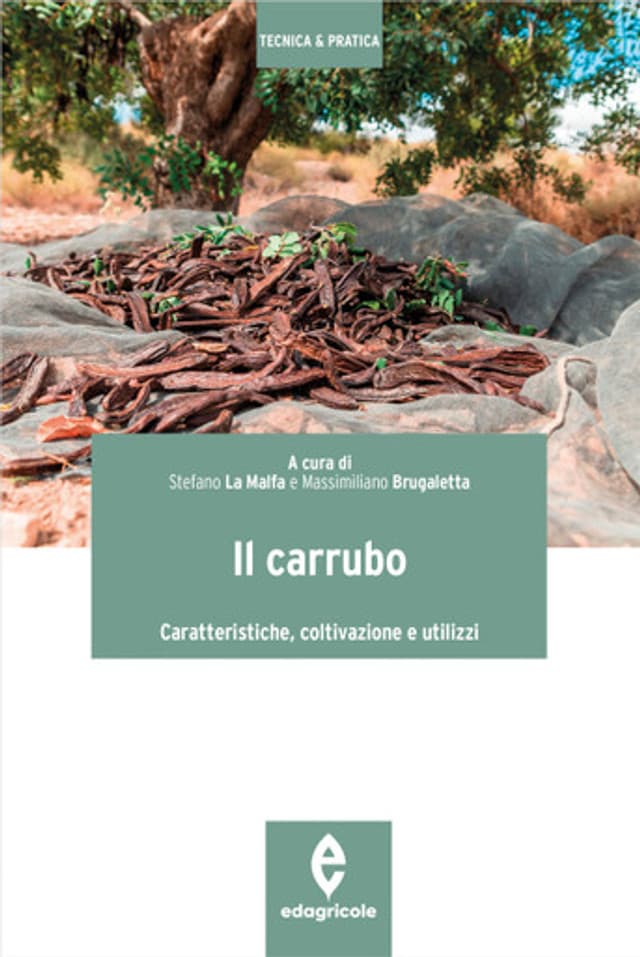 Il carrubo