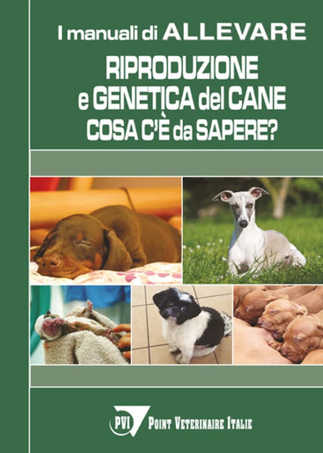 Riproduzione e genetica del cane: cosa c'è da sapere