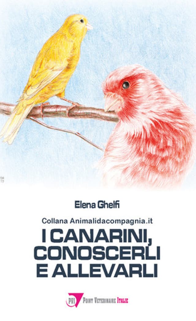 I canarini, conoscerli e allevarli