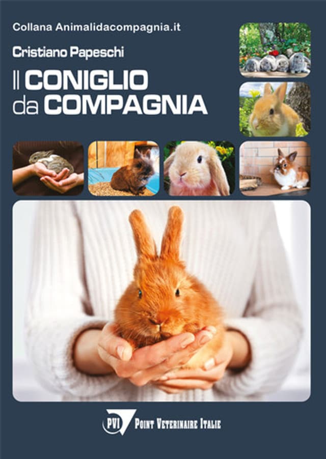 Il coniglio da compagnia