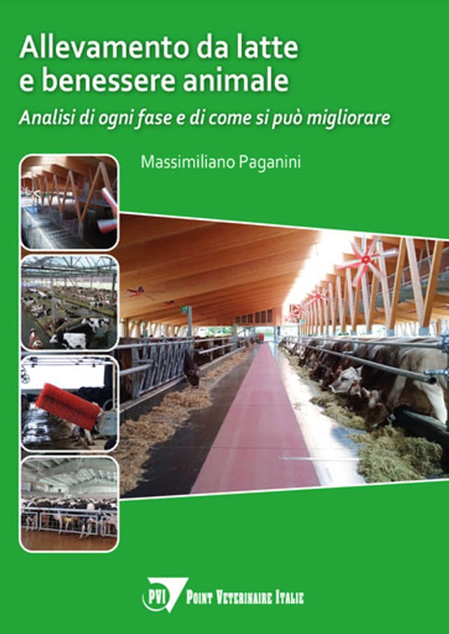 Allevamento da latte e benessere animale