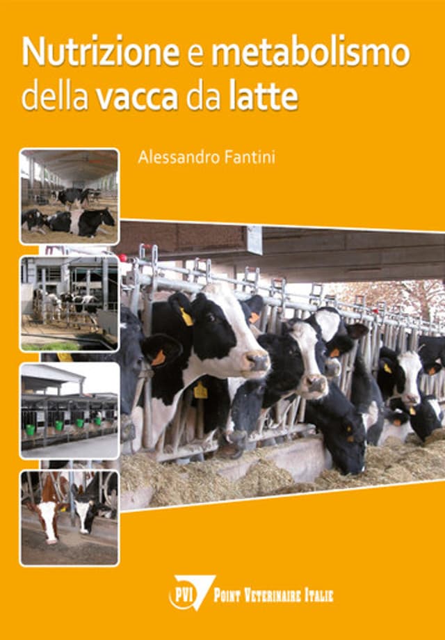 Nutrizione e metabolismo della vacca da latte