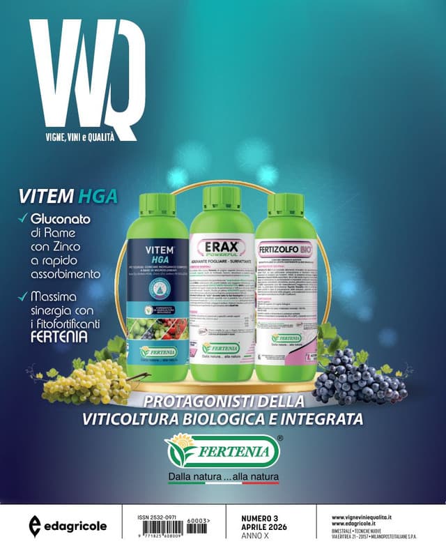 VVQ vigne, vini e qualità