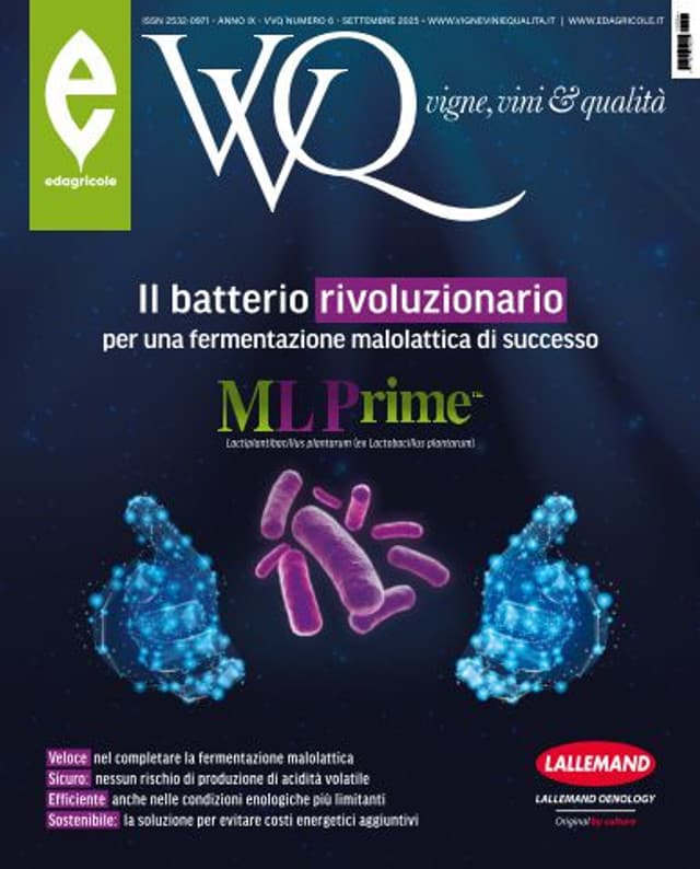 VVQ vigne, vini & qualità