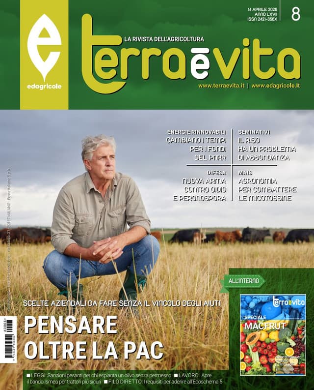 Terra e Vita