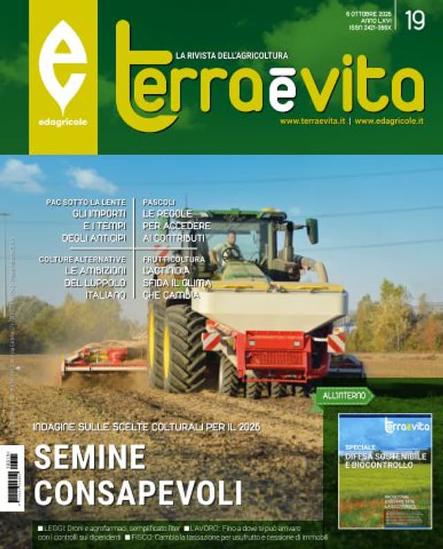 Terra e Vita