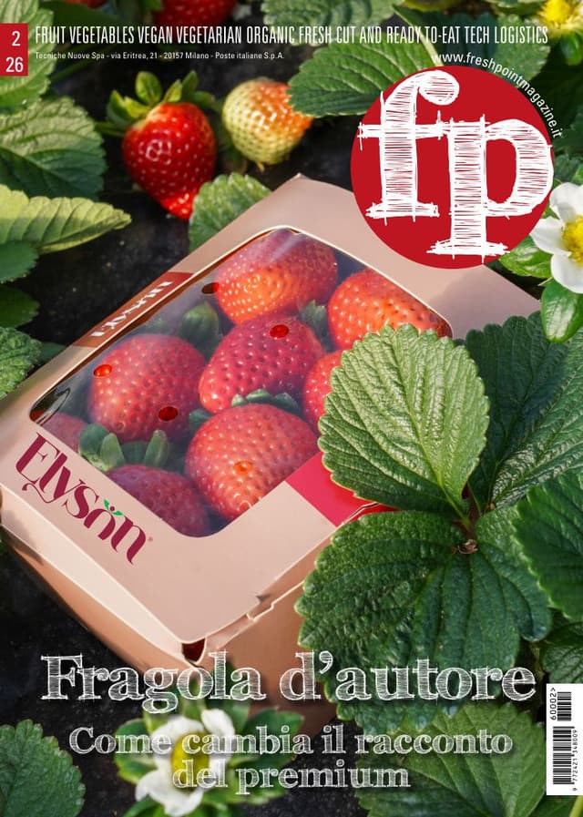 Fresh Point Magazine