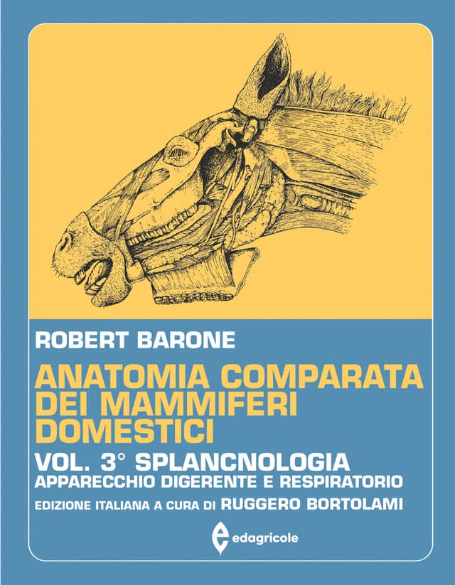 Anatomia comparata dei mammiferi domestici - Volume 3