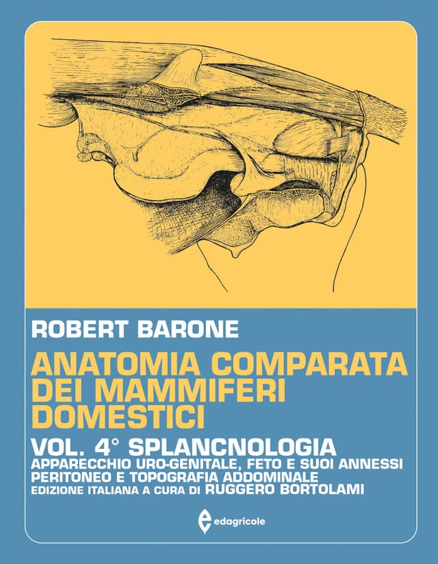 Anatomia comparata dei mammiferi domestici - Volume 4
