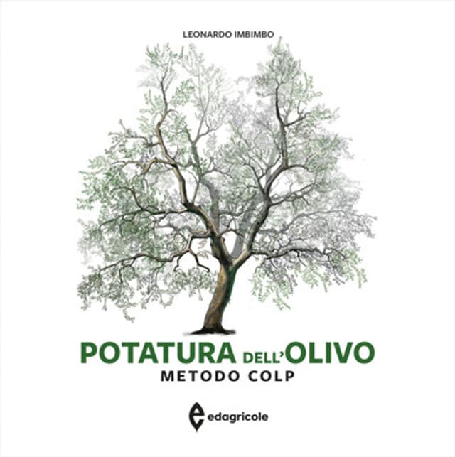 Potatura dell'olivo. Metodo Colp