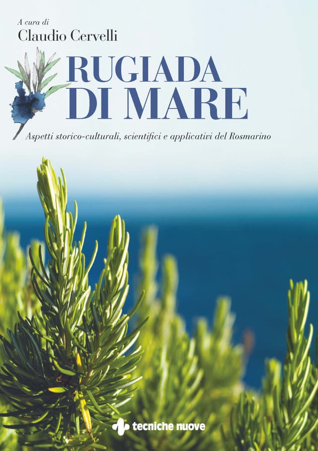 Rugiada di mare