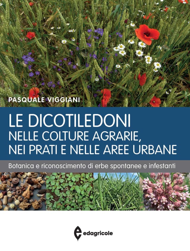 Le dicotiledoni nelle colture agrarie, nei prati e nelle aree urbane