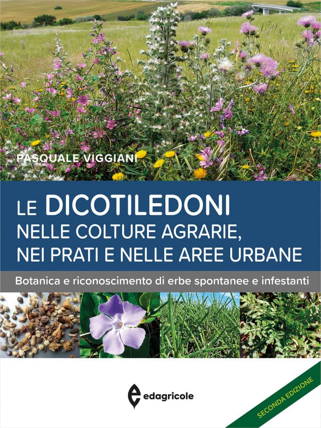 Le dicotiledoni nelle colture agrarie, nei prati e nelle aree urbane