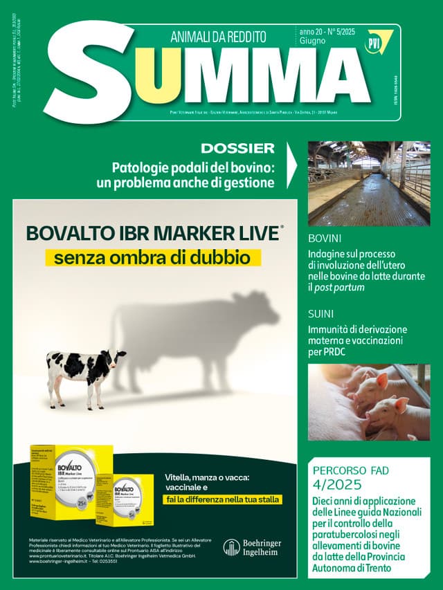 Summa Animali da Reddito