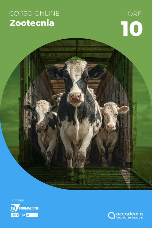 Il benessere animale durante il trasporto specie ungulati