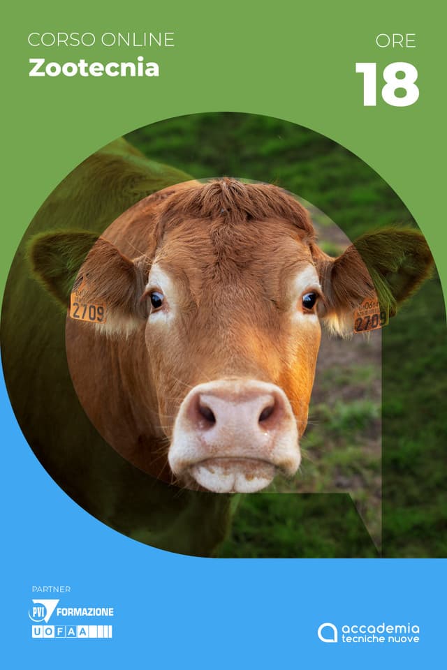 Salute animale: bovini - DM 6.09.2023