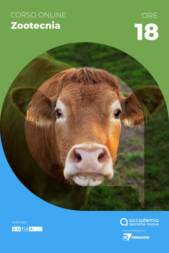 Salute animale: bovini - DM 6.09.2023 - II Ed.