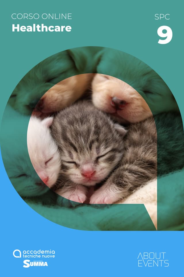 Riproduzione del cane e del gatto: dalla gestione del calore al neonato