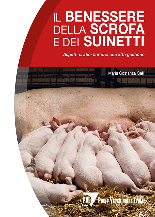 Il benessere della scrofa e dei suinetti - Aspetti pratici per una corretta gestione