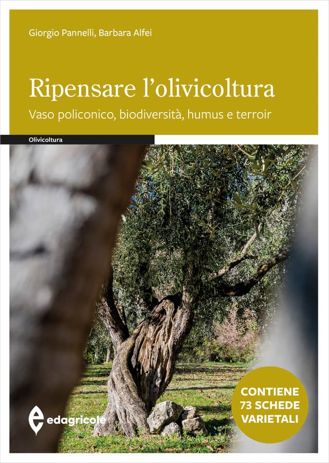 Ripensare l'olivicoltura