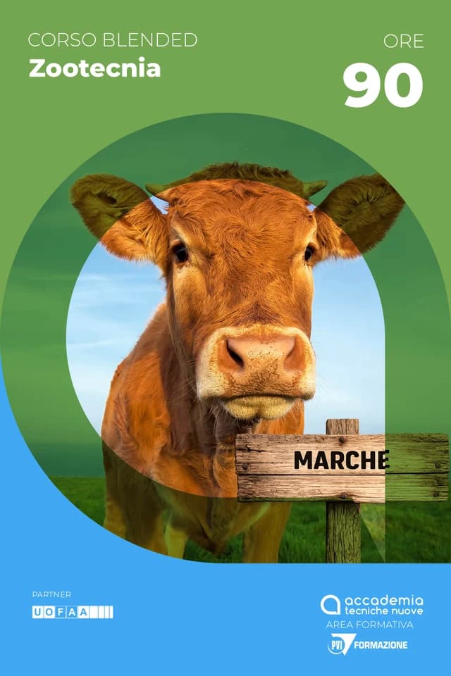 Fecondazione artificiale bovina nazionale Marche