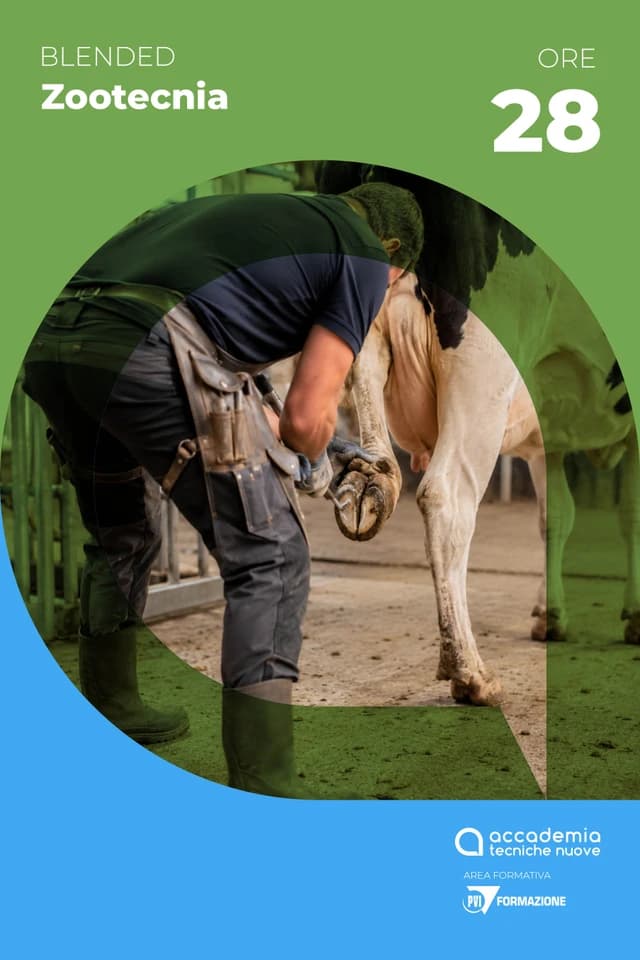 Mascalcia bovina - edizione novembre 2026